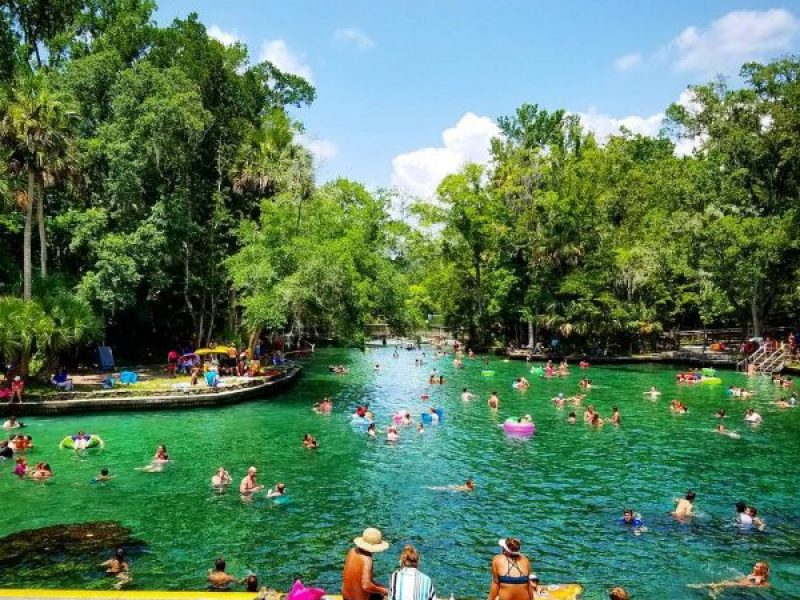 Passeios naturais, springs e ecoturismo em Orlando