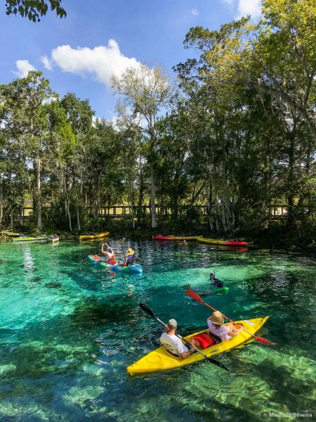 Passeios de kayak e stand up paddle em Orlando