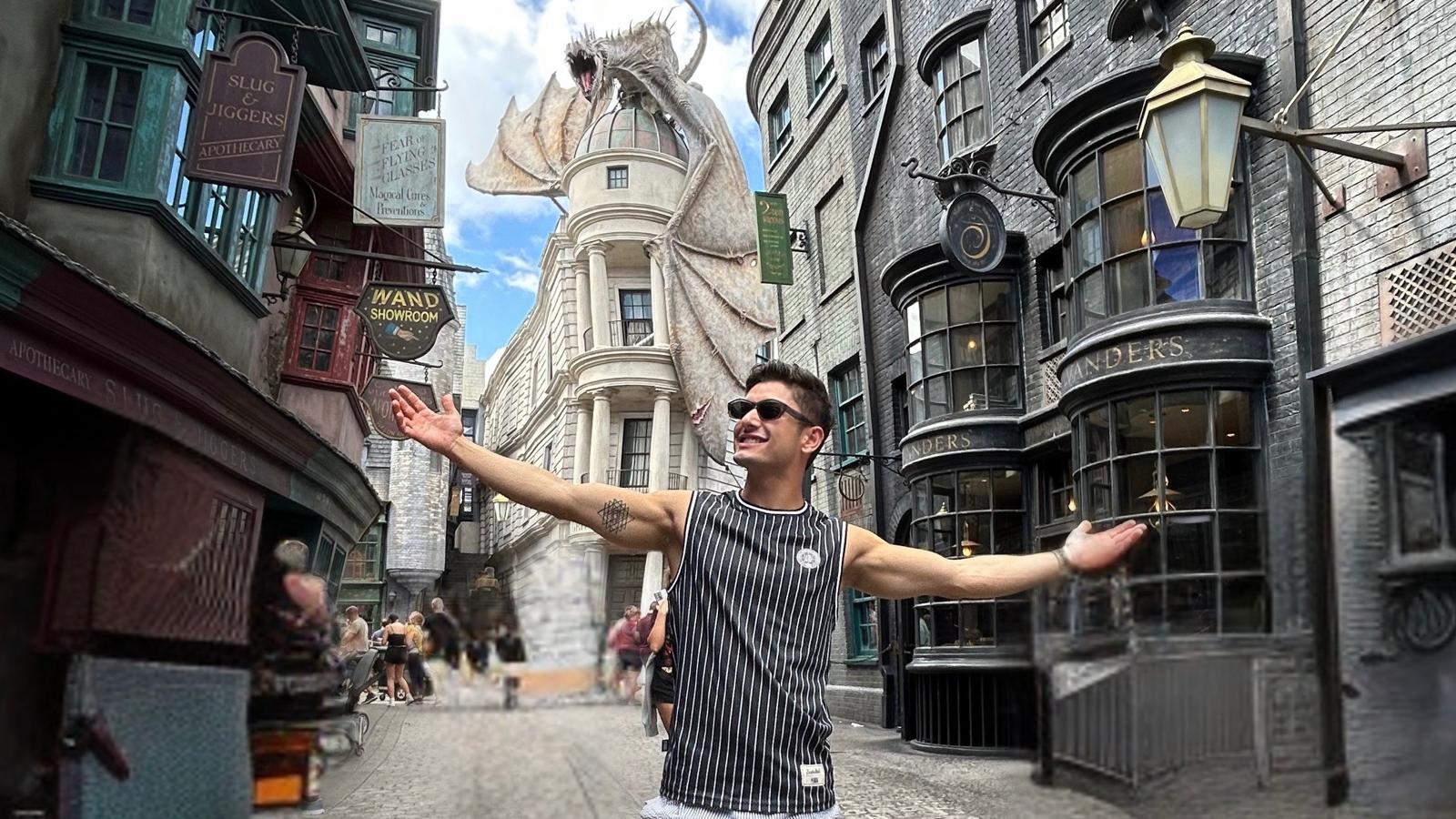 The Wizarding World of Harry Potter