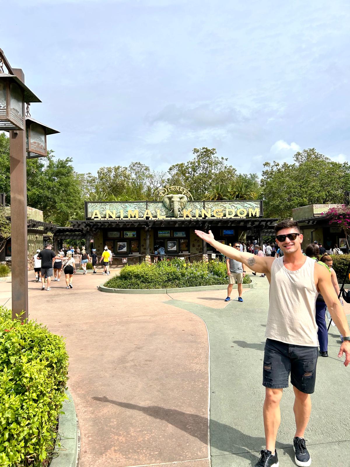 Kilimanjaro Safaris